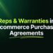 Reps & Warranties in Ecommerce Purchase Agreements